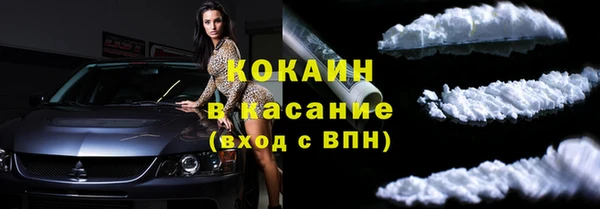 гидра Каменногорск