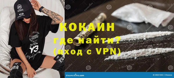 гидра Каменногорск