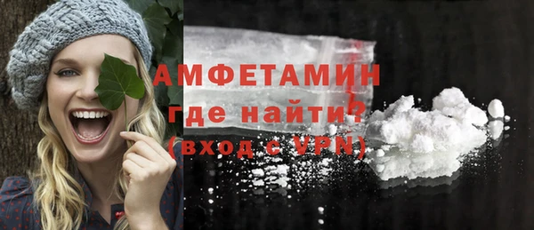 гидра Каменногорск