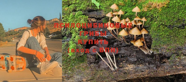 гидра Каменногорск